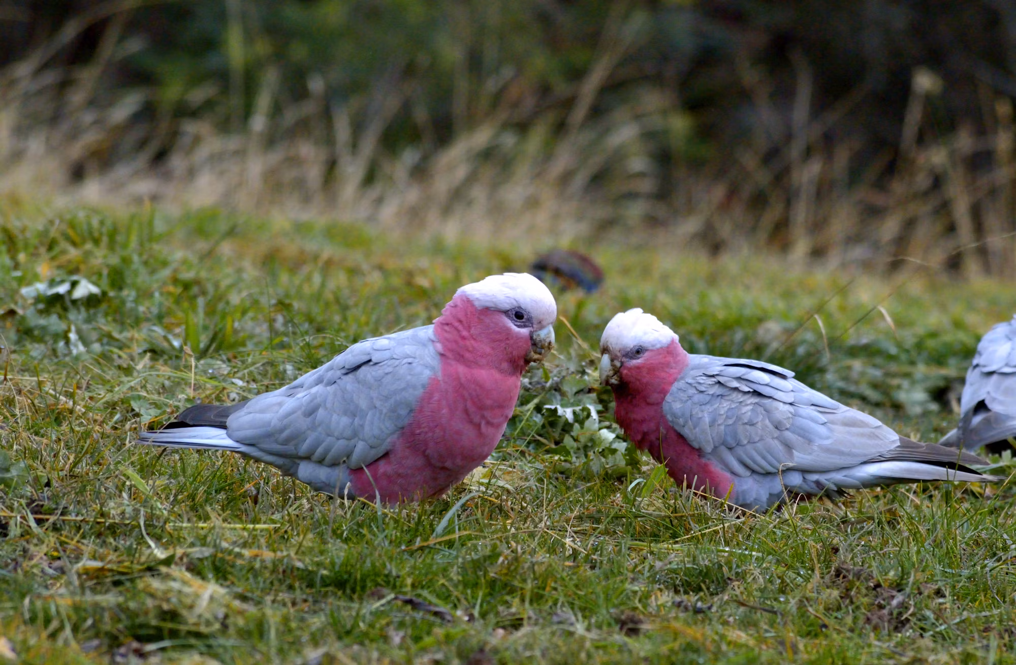 Exploring the World of Sustainable Fashion: A Guide to Eco-Friendly Choices