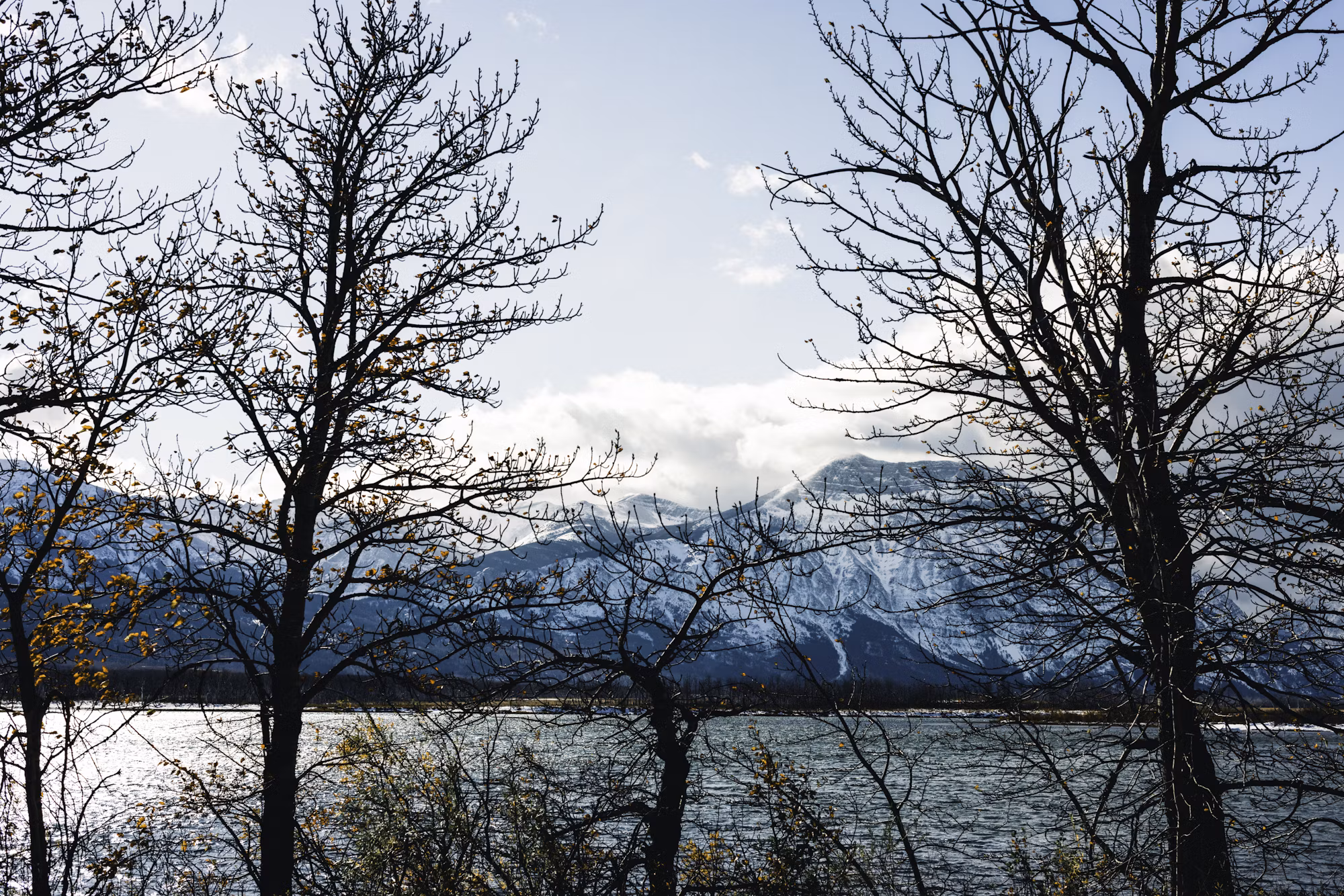 A Beginner’s Guide to Nature Photography: Capturing the Beauty Around You
